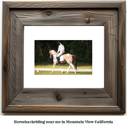 horseback riding near me in Mountain View, California